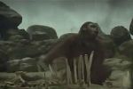 E4 - The Dawn Of Man